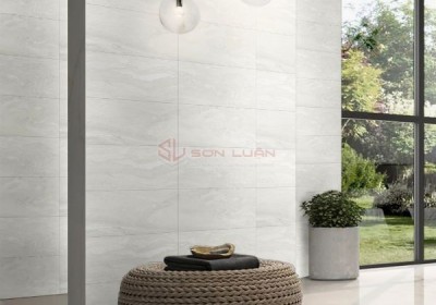 Gạch Ốp Lát  APODIO 48709